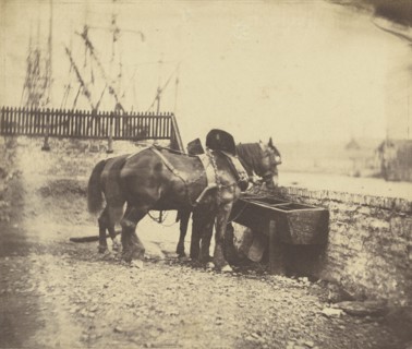 Horses at a trough; John Bevan Hazard, English, 1831 - 1892, 1850s; Salted paper print; 12.2 × 14.5 cm, 4 13,16 × 5 11,16 in