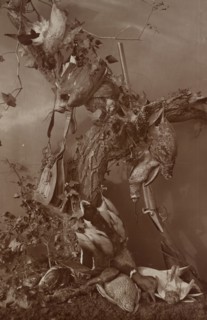 Still Life: Dead Game; Adolphe Braun, French, 1811 - 1877, about 1880; Carbon print; 69.7 x 45.2 cm, 27 7,16 x 17 13,16 in