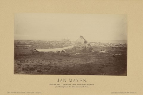 Jan Mayen, Strand mit Treibholz und Walfischknochen., Im Hintergrunde des Expeditionsschiff Pola);, Linienschiffs-Lieutenant
