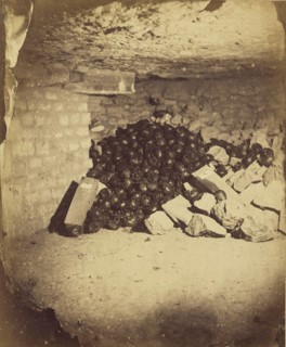 Amoncellement de cranes; Nadar, Gaspard Félix Tournachon, French, 1820 - 1910, 1861; Albumen silver print