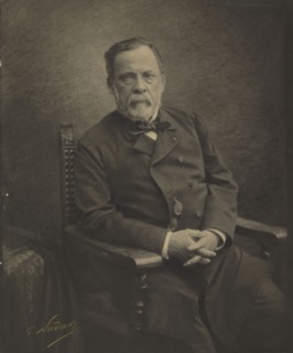 Louis Pasteur; Paul Nadar, French, 1856 - 1939, 1886; Gum bichromate print; 36.5 x 30.5 cm, 14 3,8 x 12 in