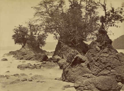 Tropical Scenery, Islands, Limon Bay; John Moran, American, born England, 1829 - 1902, 1871; Albumen silver print