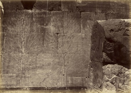 Dec el Bahari; Antonio Beato, English, born Italy, about 1835 - 1906, 1860 - 1869; Albumen silver print