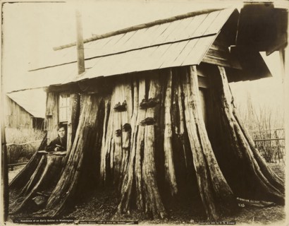 Residence of an Early Settler in Washington; Darius Kinsey, American, 1869 - 1945, Washington, United States; 1901; Gelatin