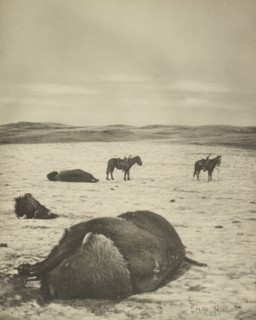 After the Chase, North Montana Range, M.T. Jan 82; Laton Alton Huffman, American, 1854 - 1931, negative January 1882; print