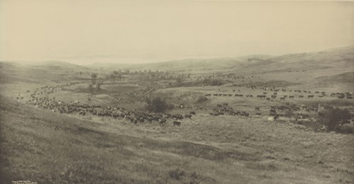 Throwing Rangers to the Roundup; Laton Alton Huffman, American, 1854 - 1931, 1907; Gravure; 39.4 x 75.7 cm