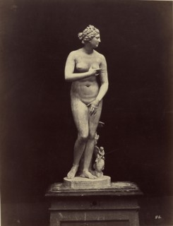 Venus di Medici; Fratelli Alinari, Italian, founded 1852, Florence, Italy; about 1856 - 1872; Albumen silver print