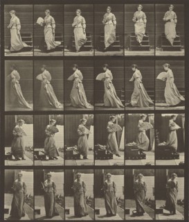 Animal Locomotion; Eadweard J. Muybridge, American, born England, 1830 - 1904, 1887; Collotype; 26.4 x 24.3 cm