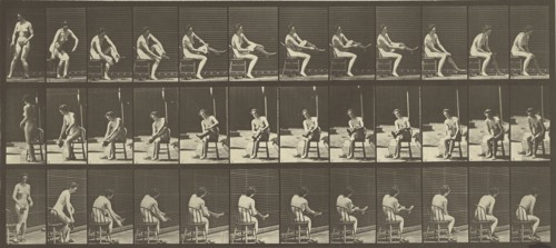 Animal Locomotion; Eadweard J. Muybridge, American, born England, 1830 - 1904, 1887; Collotype; 17.3 x 39.8 cm