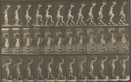 Animal Locomotion; Eadweard J. Muybridge, American, born England, 1830 - 1904, 1887; Collotype; 21.4 x 34 cm