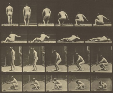 Animal Locomotion; Eadweard J. Muybridge, American, born England, 1830 - 1904, 1887; Collotype; 23.8 x 29.7 cm