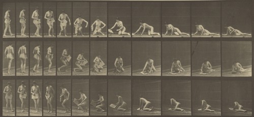 Animal Locomotion; Eadweard J. Muybridge, American, born England, 1830 - 1904, 1887; Collotype; 17.8 x 39.4 cm
