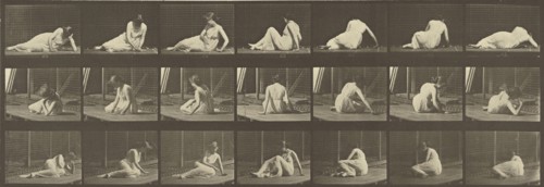 Animal Locomotion; Eadweard J. Muybridge, American, born England, 1830 - 1904, 1887; Collotype; 14.9 x 43.8 cm