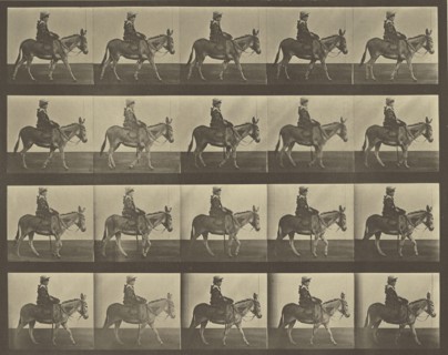 Animal Locomotion; Eadweard J. Muybridge, American, born England, 1830 - 1904, 1887; Collotype; 23.8 x 29.5 cm