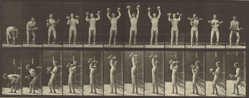 Animal Locomotion; Eadweard J. Muybridge, American, born England, 1830 - 1904, 1887; Collotype; 16.2 x 42.5 cm