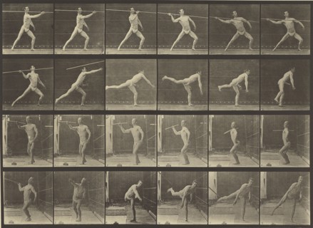 Animal Locomotion; Eadweard J. Muybridge, American, born England, 1830 - 1904, 1887; Collotype; 22.4 x 31.3 cm