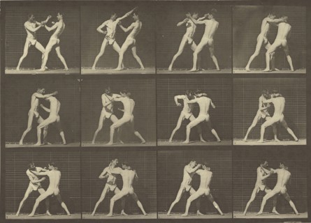 Animal Locomotion; Eadweard J. Muybridge, American, born England, 1830 - 1904, 1887; Collotype; 17.1 x 31.4 cm