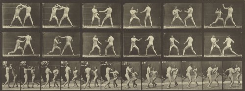 Animal Locomotion; Eadweard J. Muybridge, American, born England, 1830 - 1904, 1887; Collotype; 16.2 x 44.8 cm