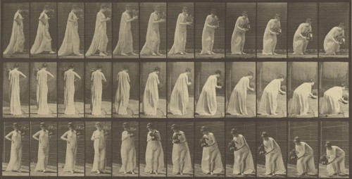 Animal Locomotion; Eadweard J. Muybridge, American, born England, 1830 - 1904, 1887; Collotype; 18.4 x 36.8 cm