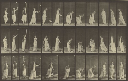 Animal Locomotion; Eadweard J. Muybridge, American, born England, 1830 - 1904, 1887; Collotype; 21.1 x 33.8 cm