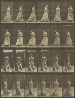 Animal Locomotion; Eadweard J. Muybridge, American, born England, 1830 - 1904, 1887; Collotype; 31.8 x 24.3 cm