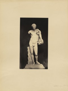 Belvedere Antonius; James Anderson, British, 1813 - 1877, Rome, Italy; about 1845 - 1855; Albumen silver print