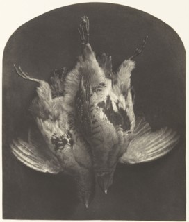 The First of September , A Brace of Grouse; William Lake Price, British, 1810 - 1896, 1857; Photogalvanograph; 29.2 x 24.4 cm