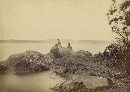 Distant View of Newburg from Presqu'ile; John Coates Browne, American, 1838 - 1918, 1864 - 1865; Albumen silver print