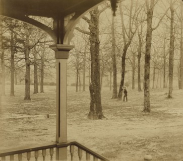 Landscape with Portrait of Alfred R. Waud; Jay Dearborn Edwards, American, 1831 - 1900, about 1891; Albumen silver print