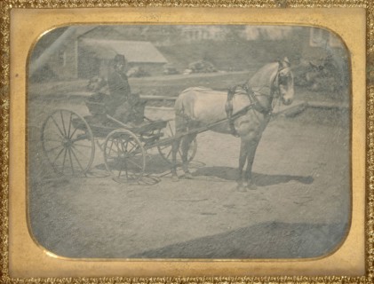 Horse and buggy with driver on seat with dog; American; about 1850; Daguerreotype