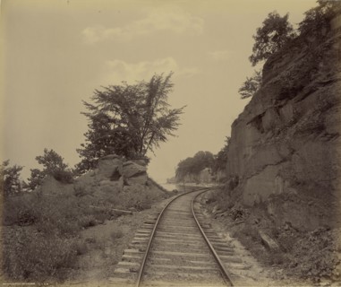 Cayuga Lake, Cat's Elbow; William H. Rau, American, 1855 - 1920, 1891 - 1895; Albumen silver print