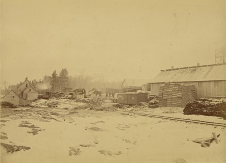 R.E. Peabody & Co., Lumber Manufacturers, Peabody Station, Vt; Daniel A. Clifford, American, 1826 - 1887, United States