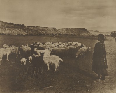 The Indian Shepherd; William J. Carpenter, American, 1861 - after 1915, United States; about 1914; Toned gelatin silver print