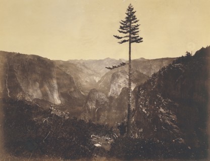 Yo-Semite Valley, from the Mariposa Trail. Mariposa County, Cal; C.L. Weed, American, 1824 - 1903, negative 1864; print 1864
