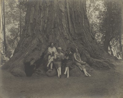 Women with Cameras at the Base of a Tree; Louis Fleckenstein, American, 1866 - 1943, about 1900; Gelatin silver print