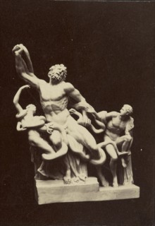 Statue of Laocoön and His Sons; about 1870 - 1890; Albumen silver print
