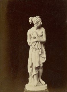 Statue of a female figure; about 1870 - 1890; Albumen silver print