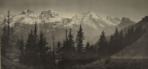 Alpine Landscape; Adolphe Braun, French, 1811 - 1877, 1865 - 1870; Carbon print; 22.2 x 46.8 cm 8 3,4 x 18 7,16 in