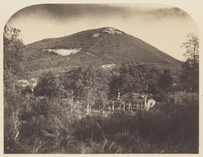 Mt. Ophir; Carleton Watkins, American, 1829 - 1916, 1860; Salted paper print; 31.4 x 41.1 cm 12 3,8 x 16 3,16 in