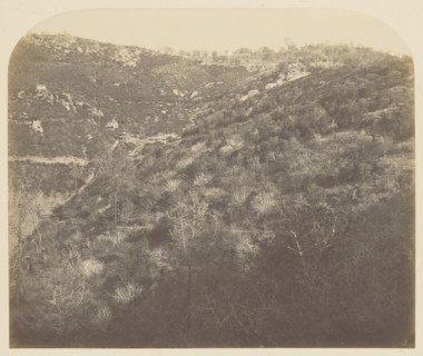 Josephine Mine; Carleton Watkins, American, 1829 - 1916, 1860; Salted paper print; 34.4 x 41.3 cm 13 9,16 x 16 1,4 in