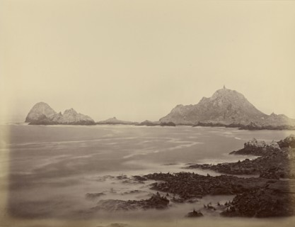 Seal Point from the West End, Farallons; Carleton Watkins, American, 1829 - 1916, 1867 - 1868; Albumen silver print