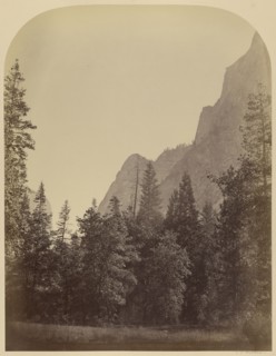 Outline View of the Half Dome - 4967 ft., Yo Semite; Carleton Watkins, American, 1829 - 1916, Yosemite, California, USA