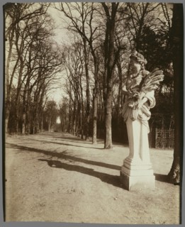 The Park, Versailles; Eugène Atget, French, 1857 - 1927, Paris, France; 1920; Albumen silver print