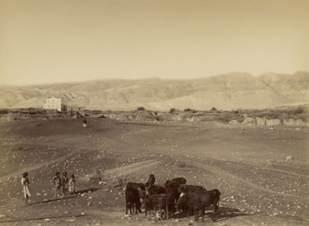 Vue générale de Jéricho prise de la plaine; Félix Bonfils, French, 1831 - 1885, Jericho, Palestine; 1870 - 1879; Albumen silver