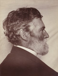Portrait of George Davidson; Carleton Watkins, American, 1829 - 1916, San Francisco, California, United States; about 1887