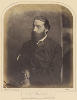 C.L. Norman; Julia Margaret Cameron, British, born India, 1815 - 1879, Freshwater, Isle of Wight, England; 1865; Albumen silver