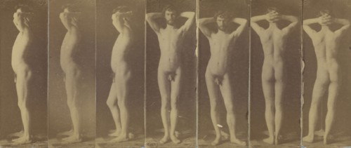 George Reynolds, seven photographs; Thomas Eakins, American, 1844 - 1916, 1883; Albumen silver print
