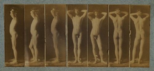 George Reynolds: Seven Photographs; Thomas Eakins, American, 1844 - 1916, 1883; Albumen silver print