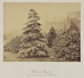 Windsor Castle. The Terrace from the Gardens; Arthur James Melhuish, English, 1829 - 1895, Windsor, Great Britain; 1856