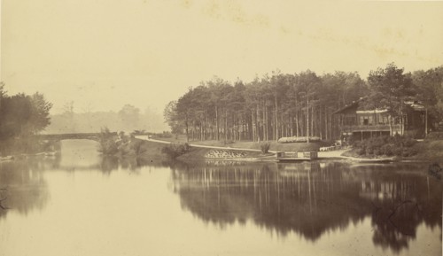 Bois de Boulogne, Paris; Charles Marville, French, 1813 - 1879, Paris, France; negative 1855 - 1870; print after 1870; Albumen